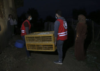 🔴 كيف تؤثر حالتنا النفسية على جهازنا المناعي؟