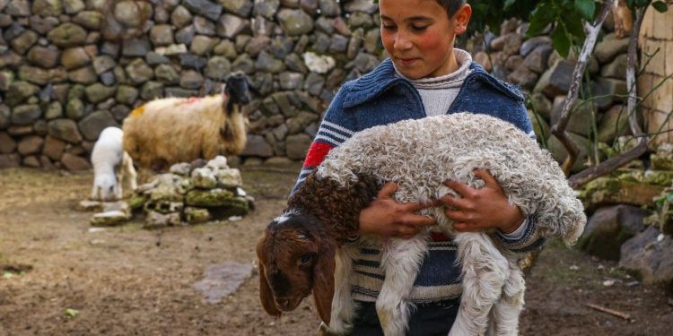 صورة الأسبوع