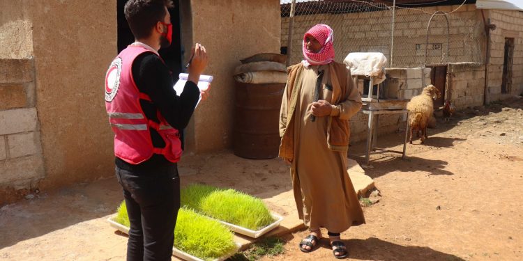 متابعة لعدة أشهر تزيد من نجاح مشروع الأعلاف