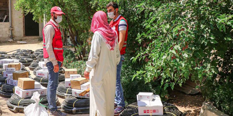 منح الحدائق المنزلية تضمن الأمن الغذائي لـ 2500 أسرة في ريف حماة