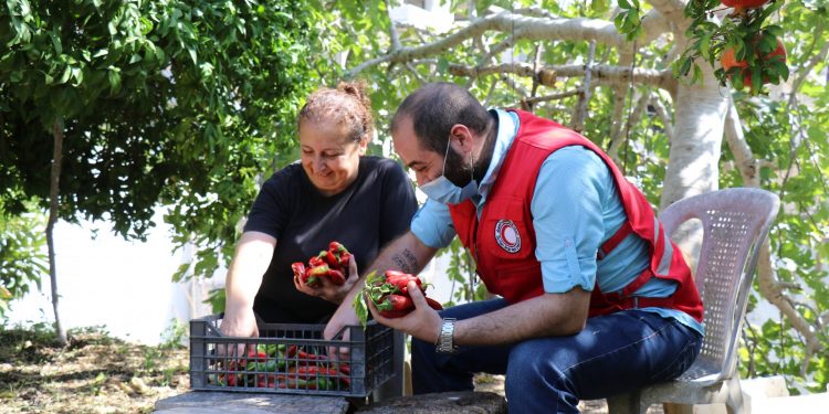 باستلامها المنحة الزراعية… أميرة تتوج 30 عاماً من الخبرة