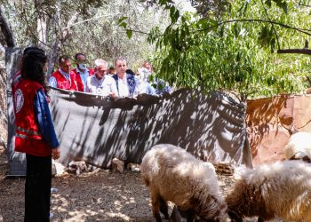 التواصل في العمل الإنساني يحدثُ فارقاً.. أبرز مخرجات اجتماع الهلال الأحمر واللجنة الدولية في حماة