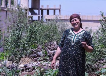 منحُ الحدائق المنزلية تنعشُ واقع 4 آلاف مستفيدٍ في السويداء